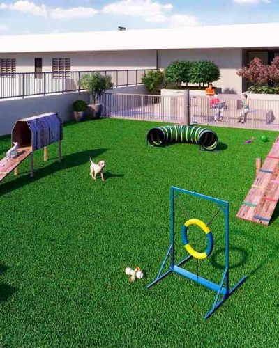Perspectiva Ilustrada - Pet Place
