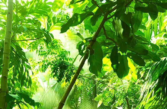 yuny-sustentabilidade-2